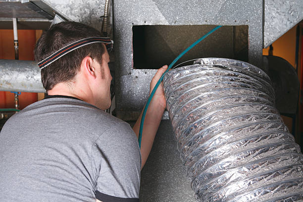 Air Duct Mold Removal in Pughtown, PA